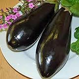 photo: You can buy Eggplant,Black Beauty Eggplant Seed, Heirloom, , Non GMO, 25 Seeds, Vegetable online, best price $1.99 ($0.08 / Count) new 2024-2023 bestseller, review