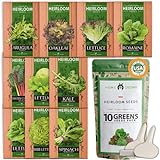 photo: You can buy 10 Heirloom Lettuce and Leafy Greens Seeds - 1500 Seeds - Non GMO Seeds for Planting - Kale, Spinach, Butter, Oak, Romaine, Iceberg, Bibb, Arugula | Hydroponic Home Vegetable online, best price $15.98 ($0.01 / Count) new 2024-2023 bestseller, review
