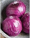 photo: You can buy David's Garden Seeds Cabbage Ruby Perfection 7742 (Red) 100 Non-GMO, Hybrid Seeds online, best price $3.95 new 2024-2023 bestseller, review