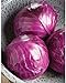 photo David's Garden Seeds Cabbage Ruby Perfection 7742 (Red) 100 Non-GMO, Hybrid Seeds 2024-2023