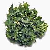 photo: You can buy Broccoli Raab Seeds, Rapini, Heirloom, Non GMO, 100 Seeds, Delicious a Culinary Delight online, best price $2.99 new 2024-2023 bestseller, review