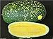 photo Watermelon seeds - Moon & Stars-Yellow (Citrullus lanatus) Non-GMO Heirloom ! (50 Seeds) 2024-2023