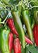 photo 100 Anaheim Chili Pepper Seeds | Non-GMO | Fresh Garden Seeds 2024-2023