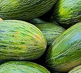 photo: You can buy 50 Valencia Late Melon Seeds | Non-GMO | Heirloom | Fresh Garden Seeds online, best price $6.95 new 2024-2023 bestseller, review
