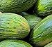 photo 50 Valencia Late Melon Seeds | Non-GMO | Heirloom | Fresh Garden Seeds 2024-2023