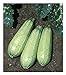 photo David's Garden Seeds Zucchini Tender Grey 5312 (Green) 50 Non-GMO, Heirloom Seeds 2024-2023