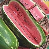 photo: You can buy Jubilee Sweet Watermelon Seeds, 75 Heirloom Seeds Per Packet, Non GMO Seeds online, best price $5.99 ($0.08 / Count) new 2024-2023 bestseller, review