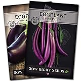 photo: You can buy Sow Right Seeds - Eggplant Seed Collection for Planting - Black Beauty and Long Eggplant Varieties Non-GMO Heirloom Seeds to Plant an Outdoor Home Vegetable Garden - Great Gardening Gift online, best price $7.99 new 2024-2023 bestseller, review