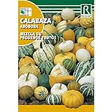 foto: comprar Semillas de Calabaza mezcla de pequeños frutos on-line, mejor precio 1,62 € nuevo 2024-2023 éxito de ventas, revisión