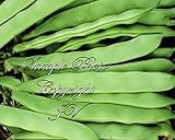 photo: You can buy Roma Bush Bean 75 Seeds! Garden Vegetable Seeds! Natural Non GMO Italian Style Flat Bean - Bush Form of Romano Pole online, best price $7.44 new 2024-2023 bestseller, review