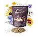 photo Package of 80,000 Wildflower Seeds - Rocky Mountain Wildflower Mix Seeds Collection - 18 Assorted Varieties of Non-GMO Heirloom Flower Seeds for Planting Including Larkspur, Poppy, Columbine, & Daisy 2024-2023