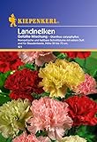 foto: jetzt Sperli Blumensamen Landnelken gefüllte Mischung, grün Online, bester Preis 2,01 € (2,01 € / stück) neu 2024-2023 Bestseller, Rezension