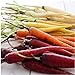 photo David's Garden Seeds Carrot Rainbow Blend 9334 (Multi) 200 Non-GMO, Open Pollinated Seeds 2023-2022