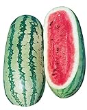 photo: You can buy Burpee Georgia Rattlesnake Watermelon Seeds 100 seeds online, best price $7.68 ($0.08 / Count) new 2024-2023 bestseller, review