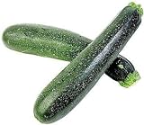 photo: You can buy 50 Black Beauty Zucchini Summer Squash Cucurbita Pepo Vegetable Seeds online, best price $2.51 ($0.05 / Count) new 2024-2023 bestseller, review