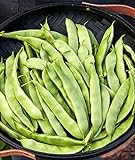 photo: You can buy Burpee Early Italian Bush Bean Seeds 2 ounces of seed online, best price $7.21 ($3.60 / Ounce) new 2024-2023 bestseller, review