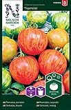 foto: jetzt Tomatensamen Tigerella - Nelson Garden Samen für Gemüsegarten - Tomaten Saatgut (36 Stück) (Einzelpackung) Online, bester Preis 3,45 € neu 2024-2023 Bestseller, Rezension