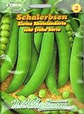 foto: jetzt Schalerbsen 'Kleine Rheinländerin' sehr frühe Sorte, 50 cm hoch Online, bester Preis 2,63 € neu 2024-2023 Bestseller, Rezension