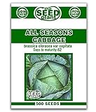 photo: You can buy All Seasons Cabbage Seeds - 500 Seeds Non-GMO online, best price  new 2024-2023 bestseller, review