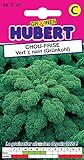 photo: acheter Graines de Chou Frisé 1/2 Nain - Kale - 2 grammes en ligne, meilleur prix 3,55 € nouveau 2024-2023 best-seller, examen