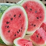 photo: You can buy RattleFree Watermelon Seeds for Planting Heirloom and NonGMO Jubilee Watermelon Seeds to Plant in Home Gardens Full Planting Instructions on Each Planting Packet online, best price $5.95 new 2024-2023 bestseller, review