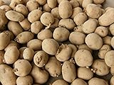 photo: You can buy 5 Lbs Yukon Gold Seed Potatoes - USA Non-GMO Certified Potato TUBERS SPUDS online, best price $9.99 new 2024-2023 bestseller, review