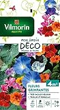 photo: acheter Vilmorin 5860642 Pack de Graines Fleur Grimpante en ligne, meilleur prix 5,80 € nouveau 2024-2023 best-seller, examen
