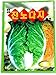 photo ITEHIL Cabbage Seeds Korea. 2 Pack(4grams-Each) 2024-2023