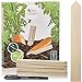 foto Holzschilder zum Beschriften: Premium Holz Pflanzenstecker im Set mit 60x Pflanzschilder und Stift – Schöne Pflanzenschilder zum Beschriften wetterfest – Holz Schilder zum Beschriften von OwnGrown 2022-2021