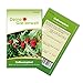 foto Erdbeerspinat Samen - Chenopodium foliosum - Erdbeerspinatsamen - Gemüsesamen - Saatgut für 200 Pflanzen 2023-2022