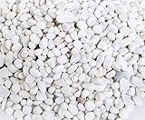 foto: jetzt Ruiuzioong Kieselsteine 2 Pfund polierter Kies, natürliche polierte gemischte Farbsteine, kleine dekorative Flussgesteinsteine (White-1.5KG) Online, bester Preis 14,99 € neu 2024-2023 Bestseller, Rezension