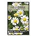 photo Sow Right Seeds - Roman Chamomile Seeds for Planting - Non-GMO Heirloom Seeds; Instructions to Plant and Grow an Herbal Tea Garden, Indoors or Outdoor; Great Gardening Gift. (1) 2024-2023