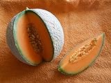 foto: jetzt Melone Charentais 5 Samen -Neue Züchtung aus Cantaloupe/Zuckermelone Sehr sehr Süß Online, bester Preis 1,98 € neu 2024-2023 Bestseller, Rezension