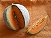 foto Melone Charentais 5 Samen -Neue Züchtung aus Cantaloupe/Zuckermelone Sehr sehr Süß 2023-2022