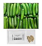 photo: You can buy US Grown! 30+ Persian Beit Alpha (a.k.a. Lebanese) Cucumber Seeds Heirloom Non-GMO Burpless Sweet Non-Bitter and Acid Free, Crispy and Sweet, Fragrant and Delicious, Cucumis sativus, Grown in USA! online, best price $2.69 new 2024-2023 bestseller, review