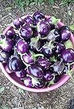 photo: You can buy 25 Seeds / Purple Eggplant (Baby Eggplants) online, best price $9.25 ($0.37 / Count) new 2024-2023 bestseller, review