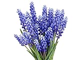 photo: You can buy Muscari Armeniacum - 15 Grape Hyacinth Bulbs - Top Size 9/10 cm online, best price $17.99 ($1.20 / Count) new 2024-2023 bestseller, review