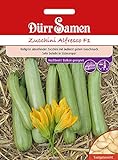 foto: jetzt Dürr Samen 4271 Zucchini Alfresco F1 (Zucchinisamen) Online, bester Preis 4,11 € neu 2024-2023 Bestseller, Rezension