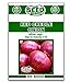 photo Red Creole Onion Seeds - 300 Seeds 2022-2021