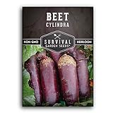 photo: You can buy Survival Garden Seeds - Cylindra Beet Seed for Planting - Packet with Instructions to Plant and Grow Dark Red Beets in Your Home Vegetable Garden - Non-GMO Heirloom Variety online, best price $4.99 new 2024-2023 bestseller, review
