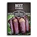 photo Survival Garden Seeds - Cylindra Beet Seed for Planting - Packet with Instructions to Plant and Grow Dark Red Beets in Your Home Vegetable Garden - Non-GMO Heirloom Variety 2022-2021