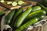 photo: You can buy Sweeter Yet Hybrid Cucumber Seeds - Non-GMO - 10 Seeds online, best price $5.99 ($0.60 / Count) new 2024-2023 bestseller, review