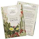 photo: acheter Mélange de graines de cactus: Kit graine de cactus à fleurs pour plantes de cactus en pot magnifique - Plante naturelle et décorative d'intérieur - Plant mini-cactus à faire pousser par OwnGrown en ligne, meilleur prix 3,95 € (3,95 € / unité) nouveau 2024-2023 best-seller, examen