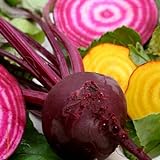 photo: You can buy Beets - Gourmet Mix of Beet Seeds ► Non-GMO Red & Yellow Beet Seeds (100+ Seeds) ◄ by PowerGrow Systems online, best price $1.99 new 2024-2023 bestseller, review