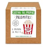 foto: comprar Garden Pocket - Kit Cultivo Palomitas de Maíz on-line, mejor precio 13,93 € nuevo 2024-2023 éxito de ventas, revisión