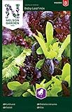 foto: jetzt Salat Samen Mix Baby Leaf - Nelson Garden Gemüse Saatgut - Pflücksalat Samen (1120 Stück) (Salat, Baby Leaf mix, Einzelpackung) Online, bester Preis 3,95 € neu 2024-2023 Bestseller, Rezension