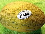 photo: You can buy 35 PCS Hami Ha Mi Melon Seeds E60, Honey Melon Super Sweet online, best price $14.50 new 2024-2023 bestseller, review