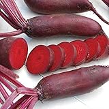 photo: You can buy Cylindra Beet Seeds(Organic) - 6-7