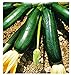 foto Semillas de calabacín negro de Milán - verduras - cucurbita pepo - aproximadamente 36 semillas - las mejores semillas de plantas - flores - frutas raras - calabacín negro - idea de regalo original 2024-2023