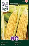 foto: jetzt Zuckermais Samen Sweet Nugget F1 - Nelson Garden Saatgut für Gemüse - Mais Samen (15 Stück) (Mais, Einzelpackung) Online, bester Preis 4,95 € neu 2024-2023 Bestseller, Rezension